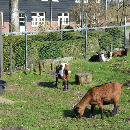 Apartment De Rulse Hoeve Heeze