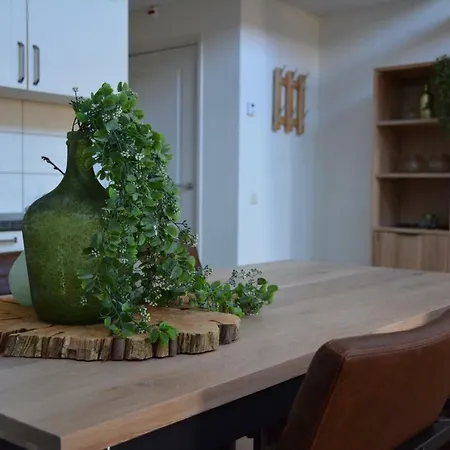 De Rulse Hoeve Apartament Heeze