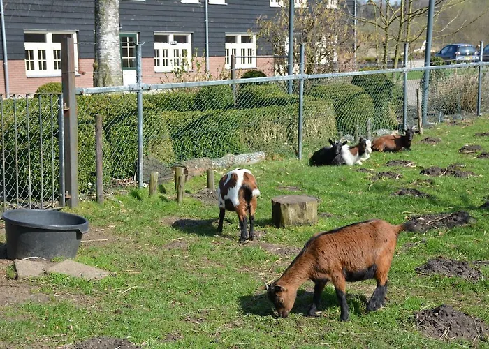 Appartement De Rulse Hoeve Heeze